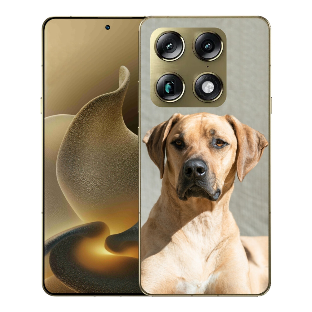 mmCase gél tok a Motorola Signature - ridgeback készülékhez