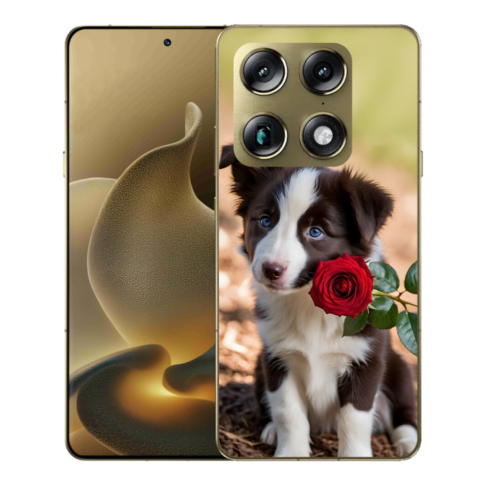 mmCase gél tok a Motorola Signature-hez – aranyos border collie rózsával