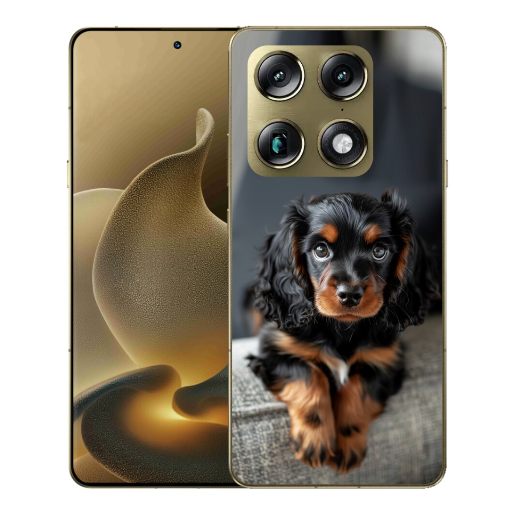 mmCase gél tok a Motorola Signature-hez – aranyos, hosszú szőrű tacskó