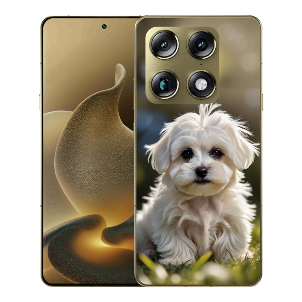 mmCase gél tok a Motorola Signature-hez – aranyos máltai kutyus