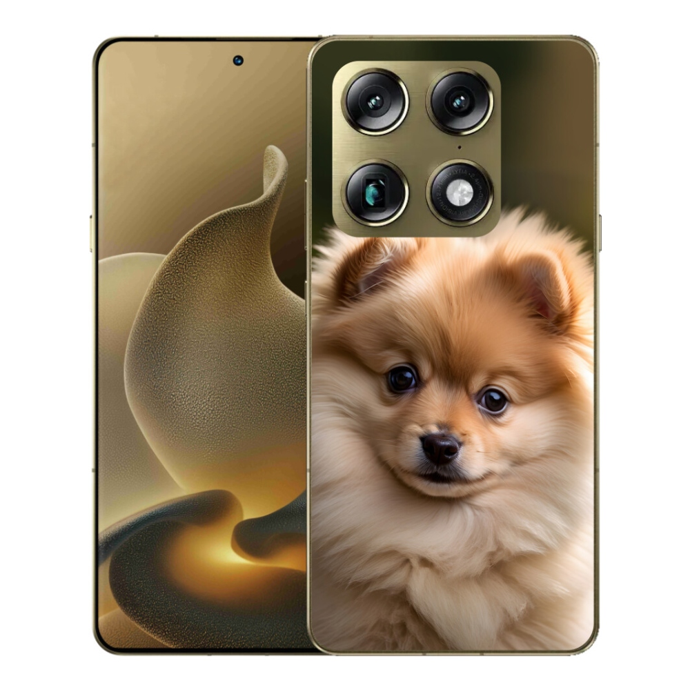 mmCase gél tok a Motorola Signature-hez – aranyos pomerániai 2