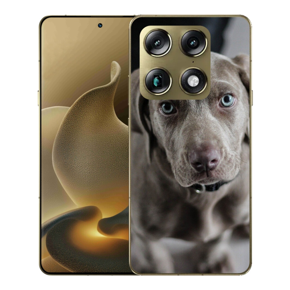 mmCase gél tok a Motorola Signature-hez – weimari vizsla