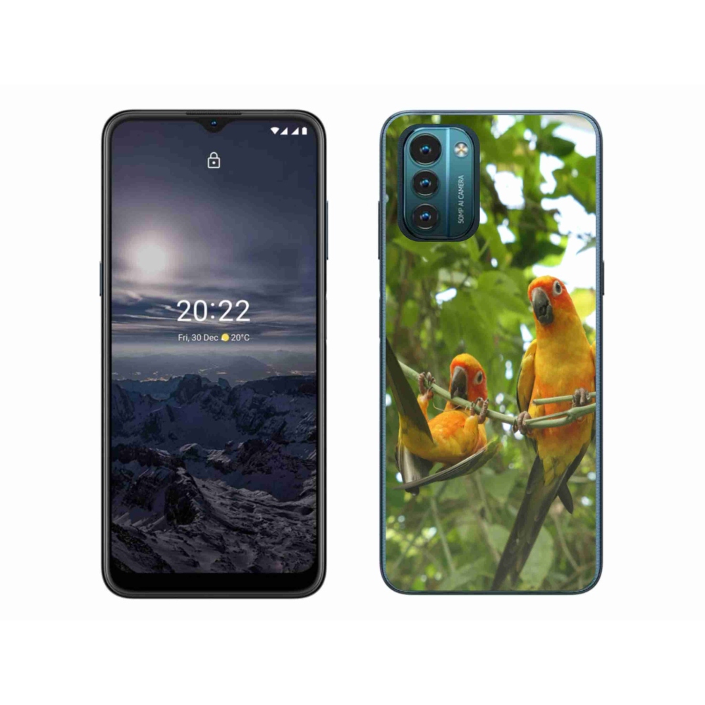 Zselés borítás mmCase a Nokia G11/G21 készülékhez - papagájok aratingy