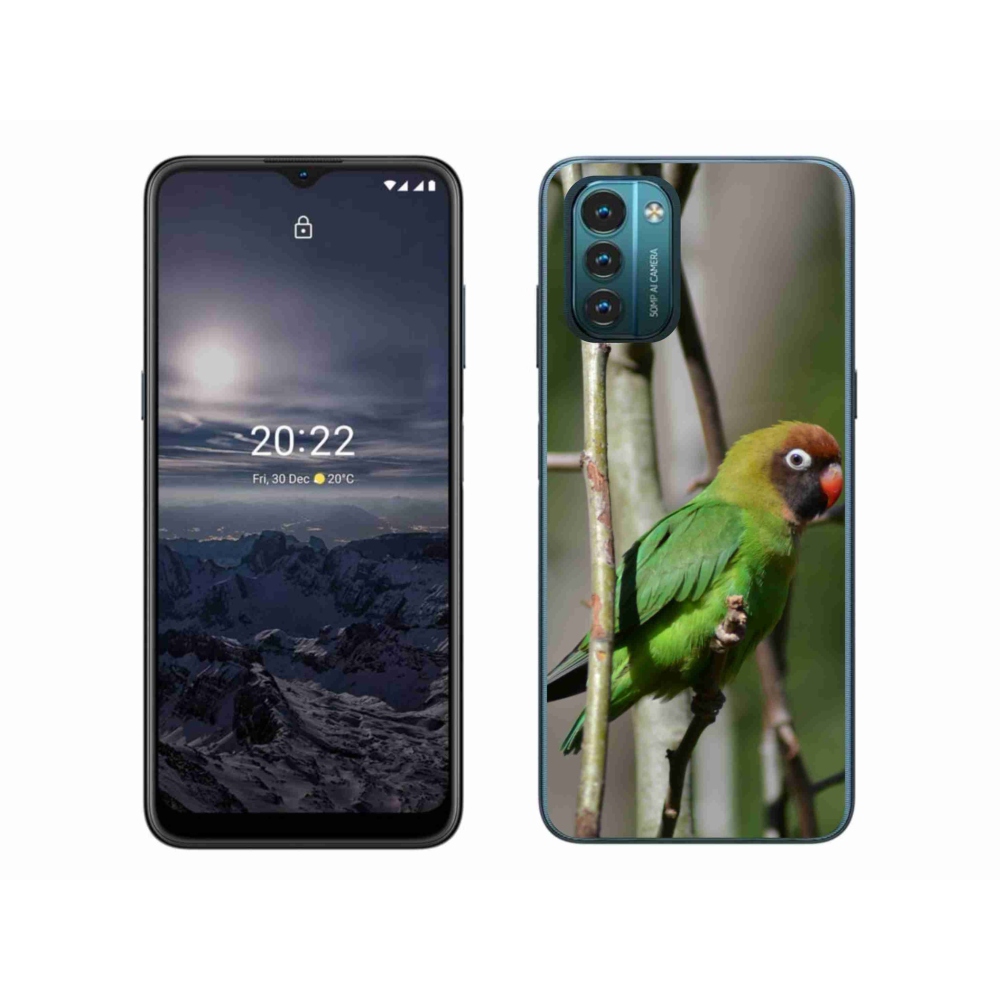 Zselés borítás mmCase a Nokia G11/G21 készülékhez - papagáj agapornis