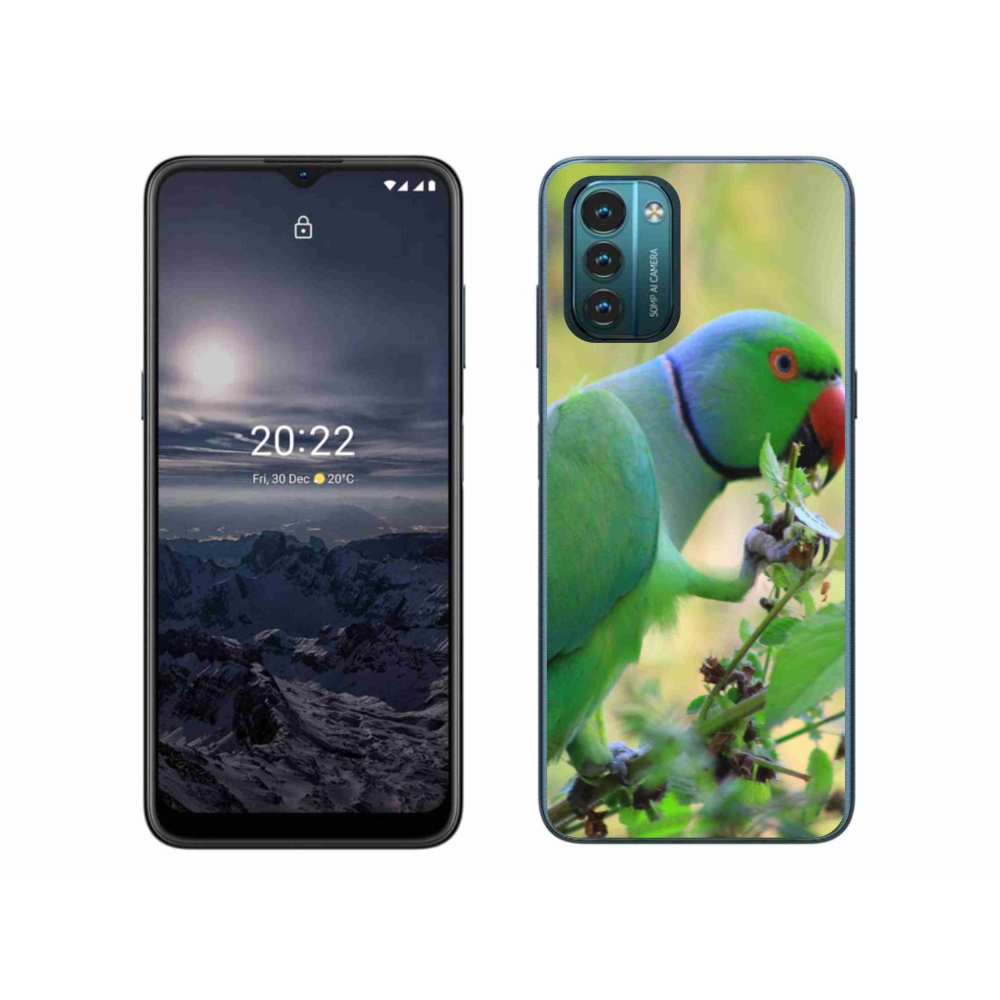 Zselés borítás mmCase a Nokia G11/G21 készülékhez - papagáj alexandr