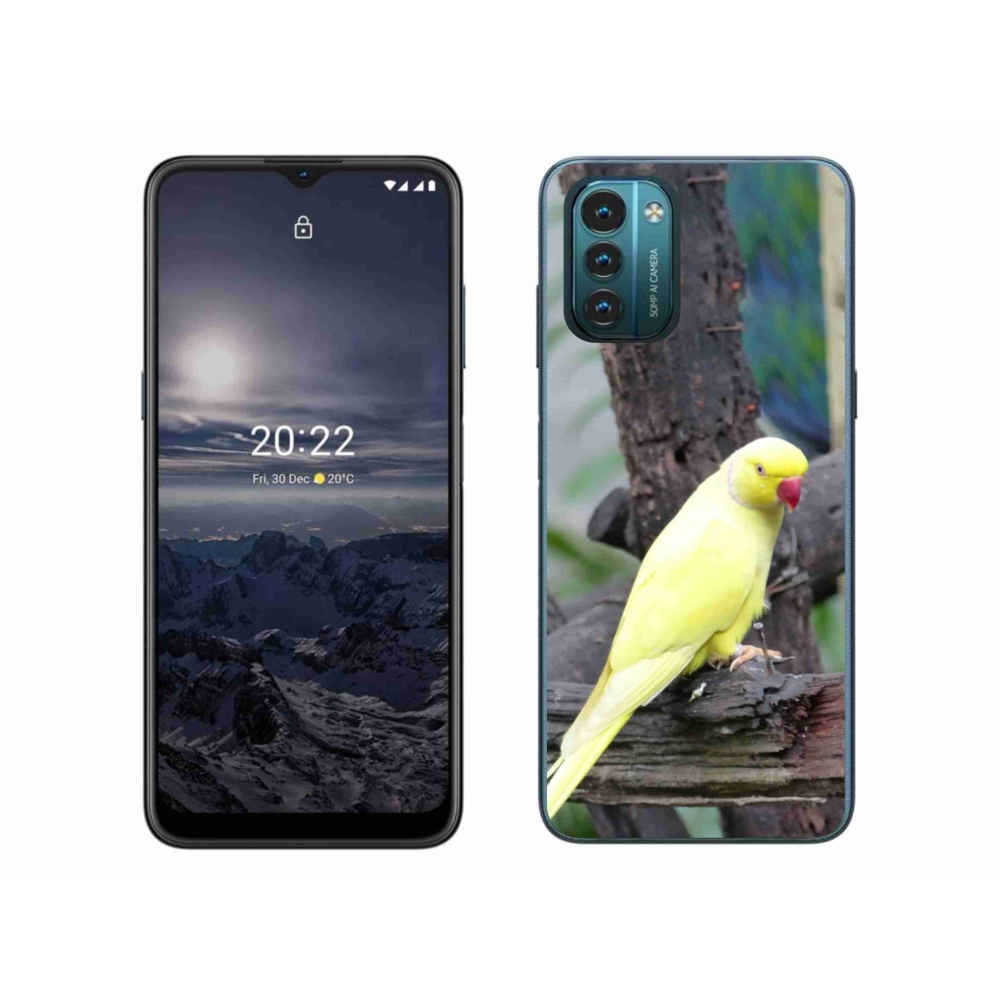 Zselés borítás mmCase Nokia G11/G21 készülékhez - papagáj alexander sárga