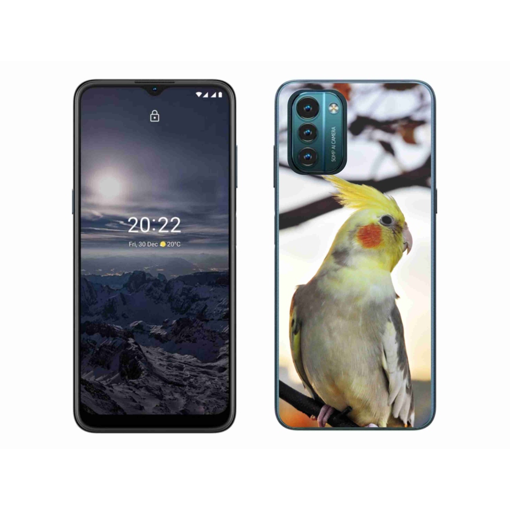 Zselés borítás mmCase a Nokia G11/G21 készülékhez - papagáj korela