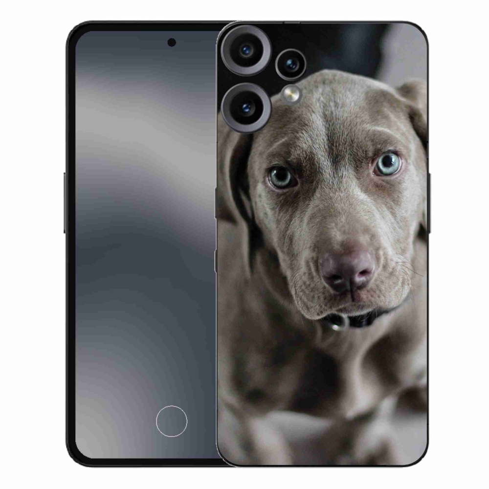 Zselés borítás mmCase a Nothing CMF Phone 2 Pro készülékhez - golden retriever