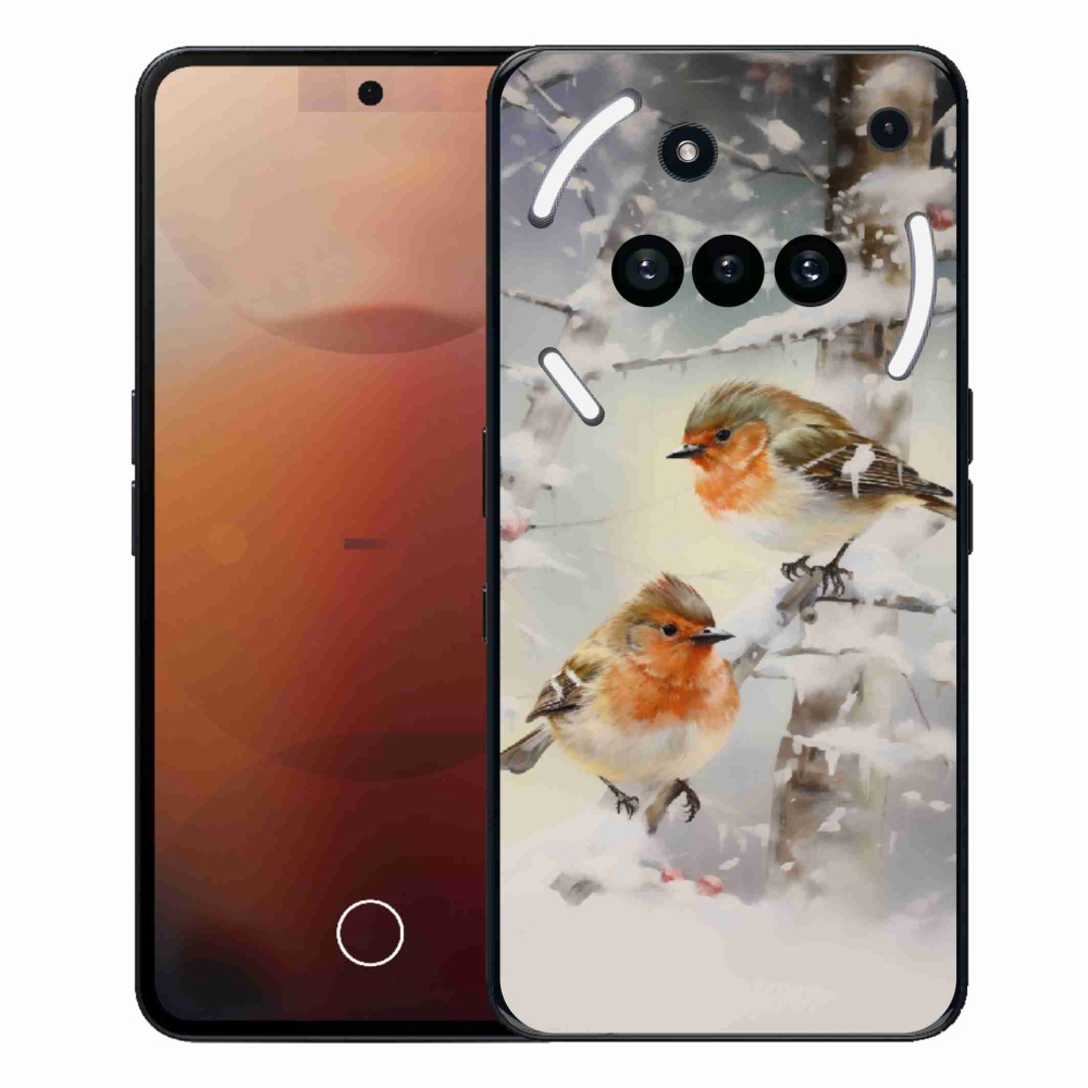 Zselés borítás mmCase a Nothing Phone-hoz (3a) - madarak télen