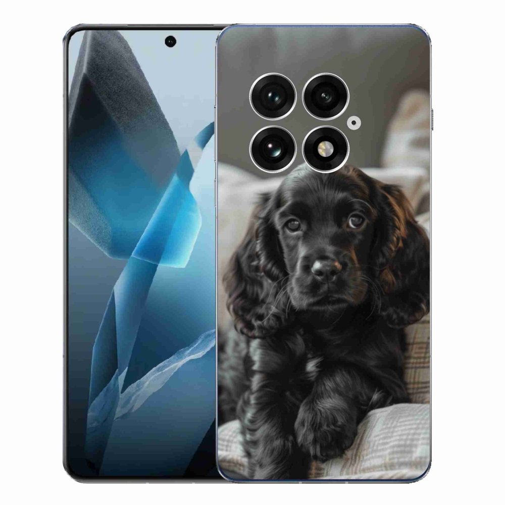 Zselés borítás mmCase for One Plus 13 - English Cocker Spaniel - angol Cocker Spaniel