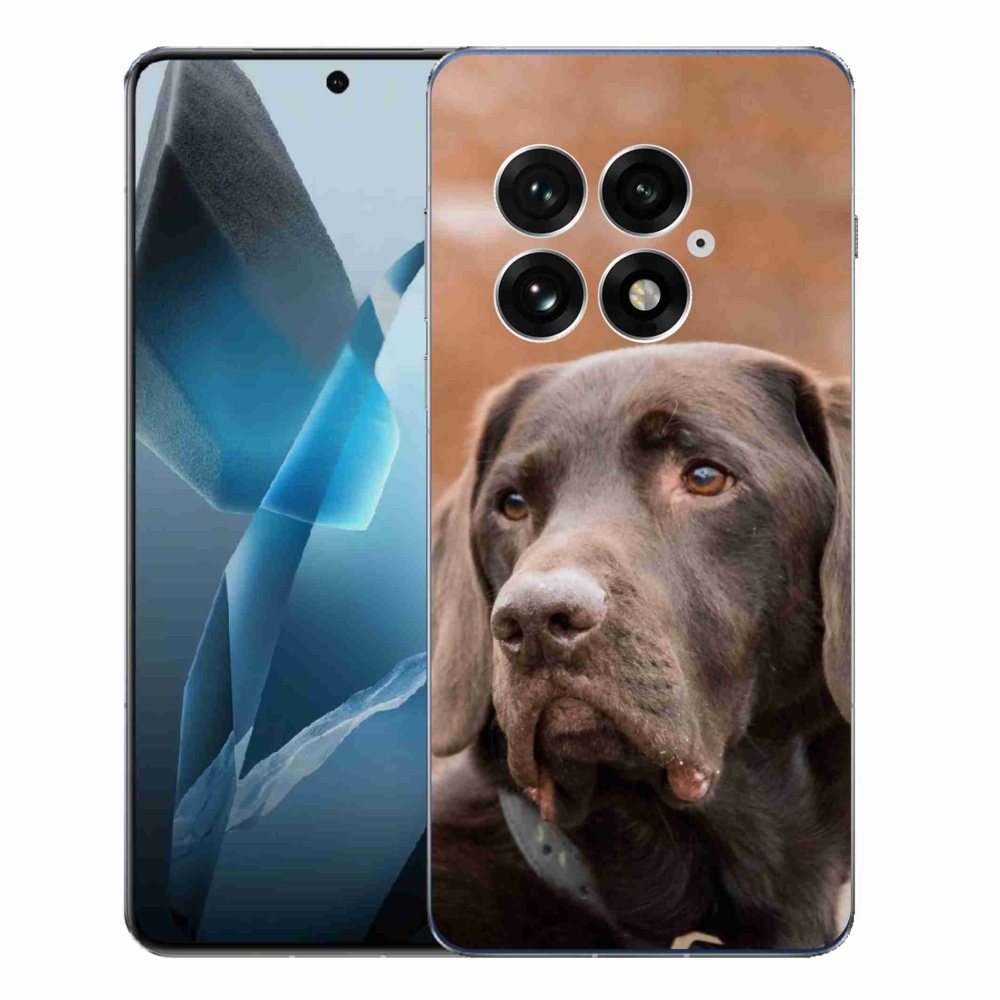 Zselés tok mmCase a One Plus 13-hoz - barna labrador