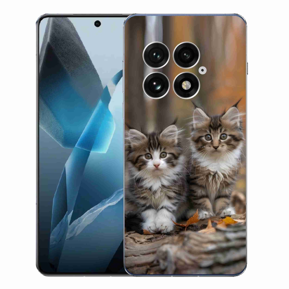 Zselés borítás mmCase a One Plus 13-hoz - cat duo 3