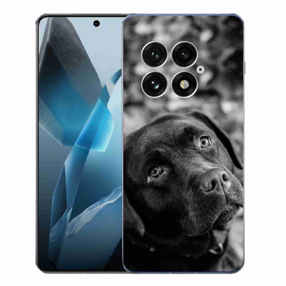 Zselés borítás mmCase a One Plus 13-hoz - labrador