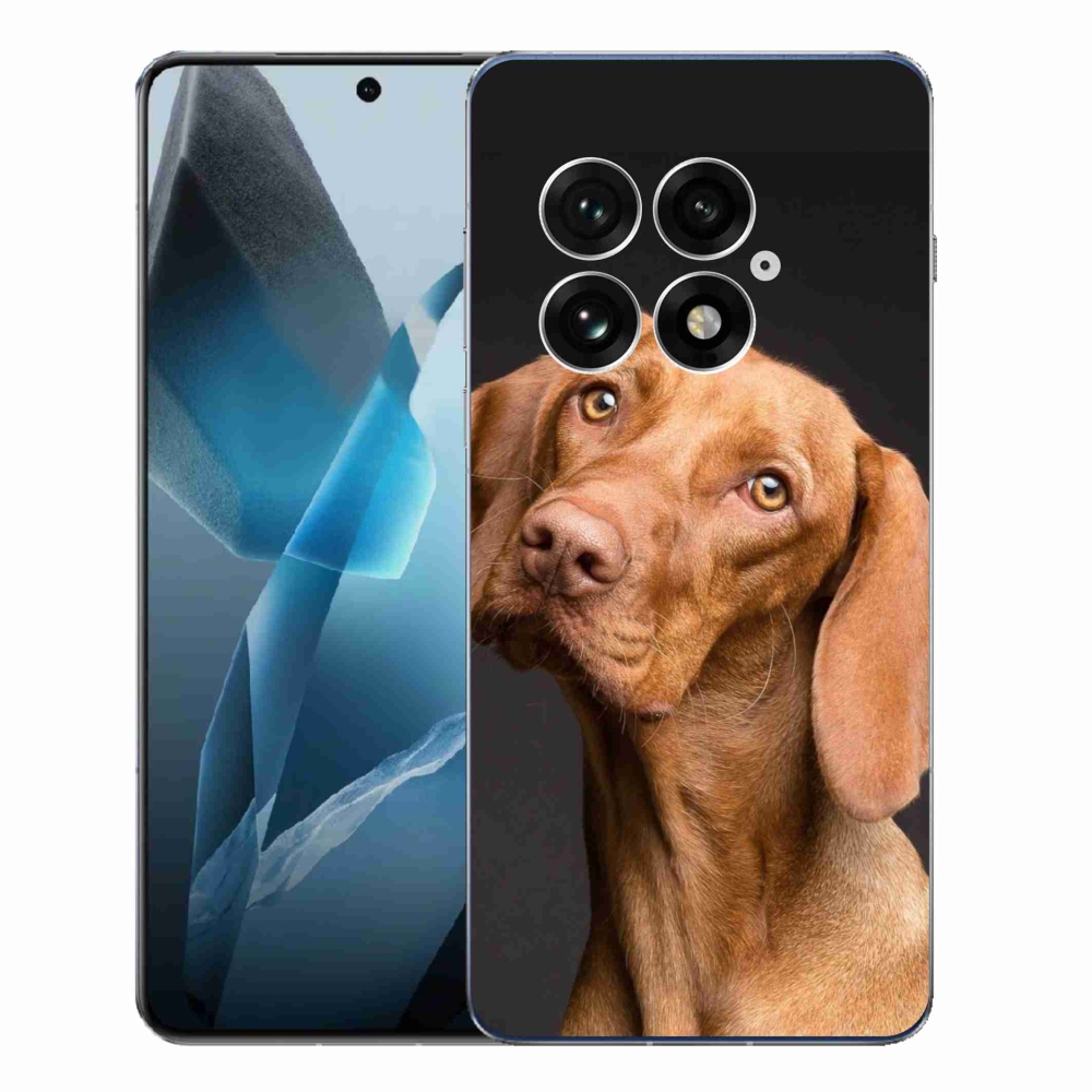 Zselés borítás mmCase a One Plus 13-hoz - Hungarian Pointer