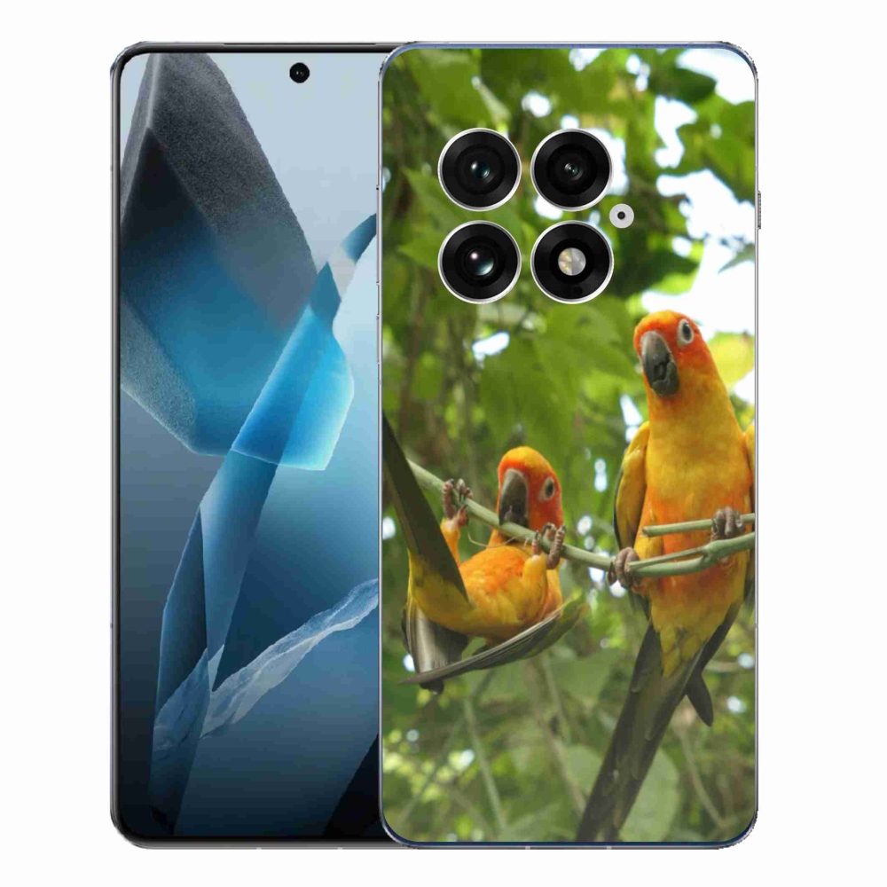 Zselés borítás mmCase a One Plus 13-hoz - papagájok aratingy