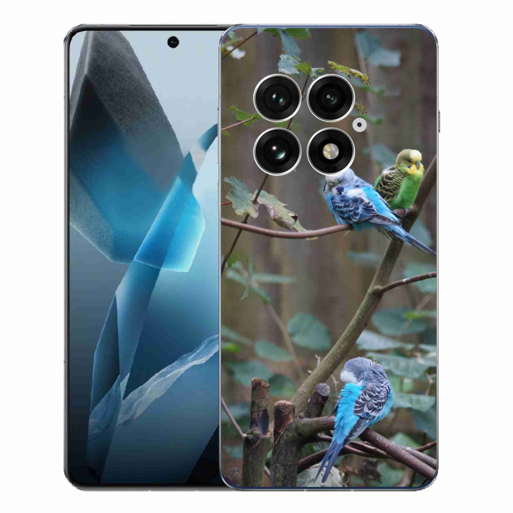 Zselés borító mmCase for One Plus 13 - papagájok egy ágon