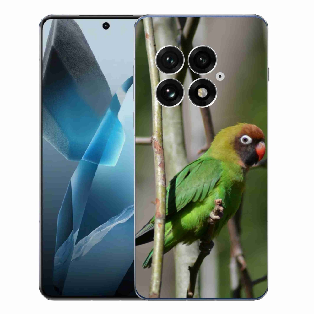 Zselés borítás mmCase for One Plus 13 - papagáj agapornis