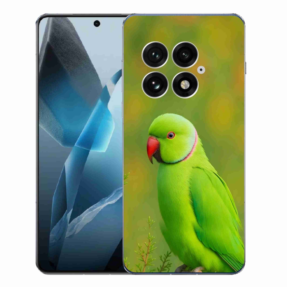 Zselés borítás mmCase a One Plus 13-hoz - papagáj alexander 2