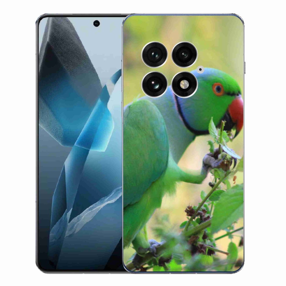 Zselés borítás mmCase a One Plus 13-hoz - papagáj alexandr