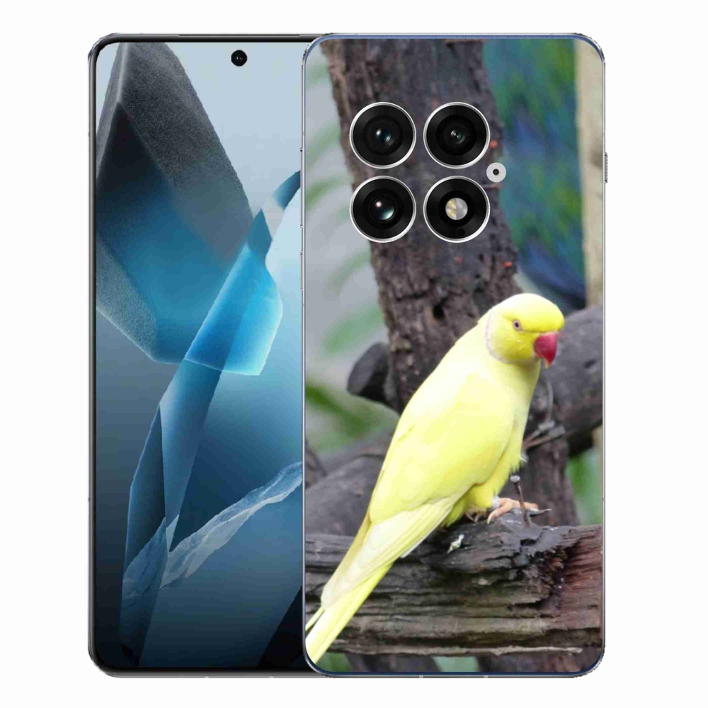 Zselés tok mmCase a One Plus 13-hoz - papagáj alexander sárga