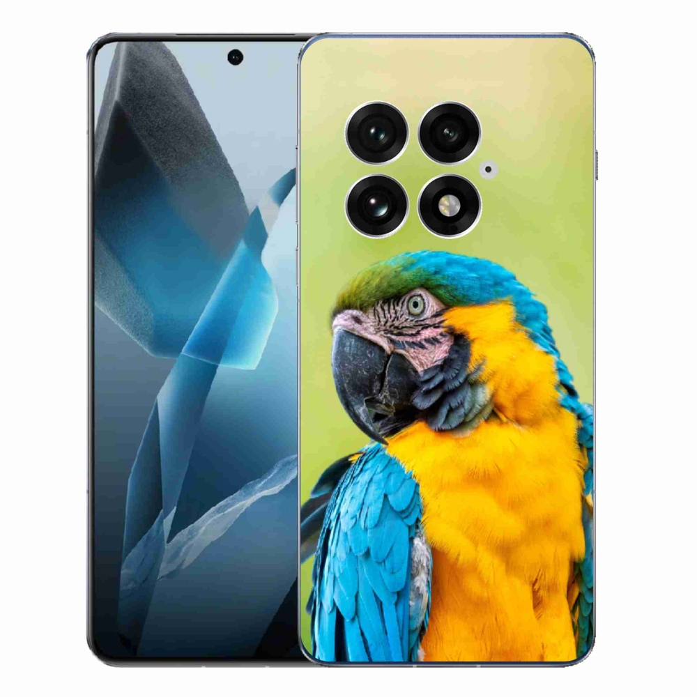 Zselés borítás mmCase a One Plus 13-hoz - papagáj ara 2