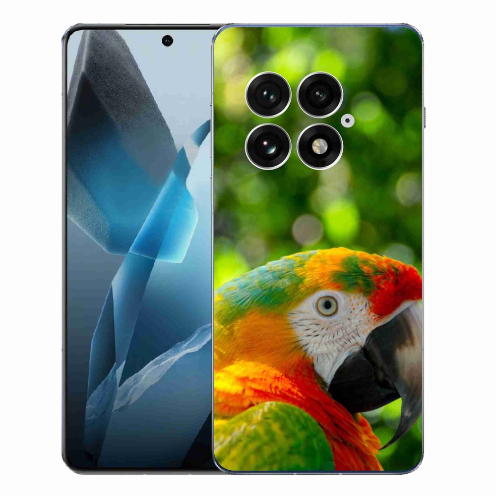 Zselés borítás mmCase a One Plus 13-hoz - papagáj ara 3