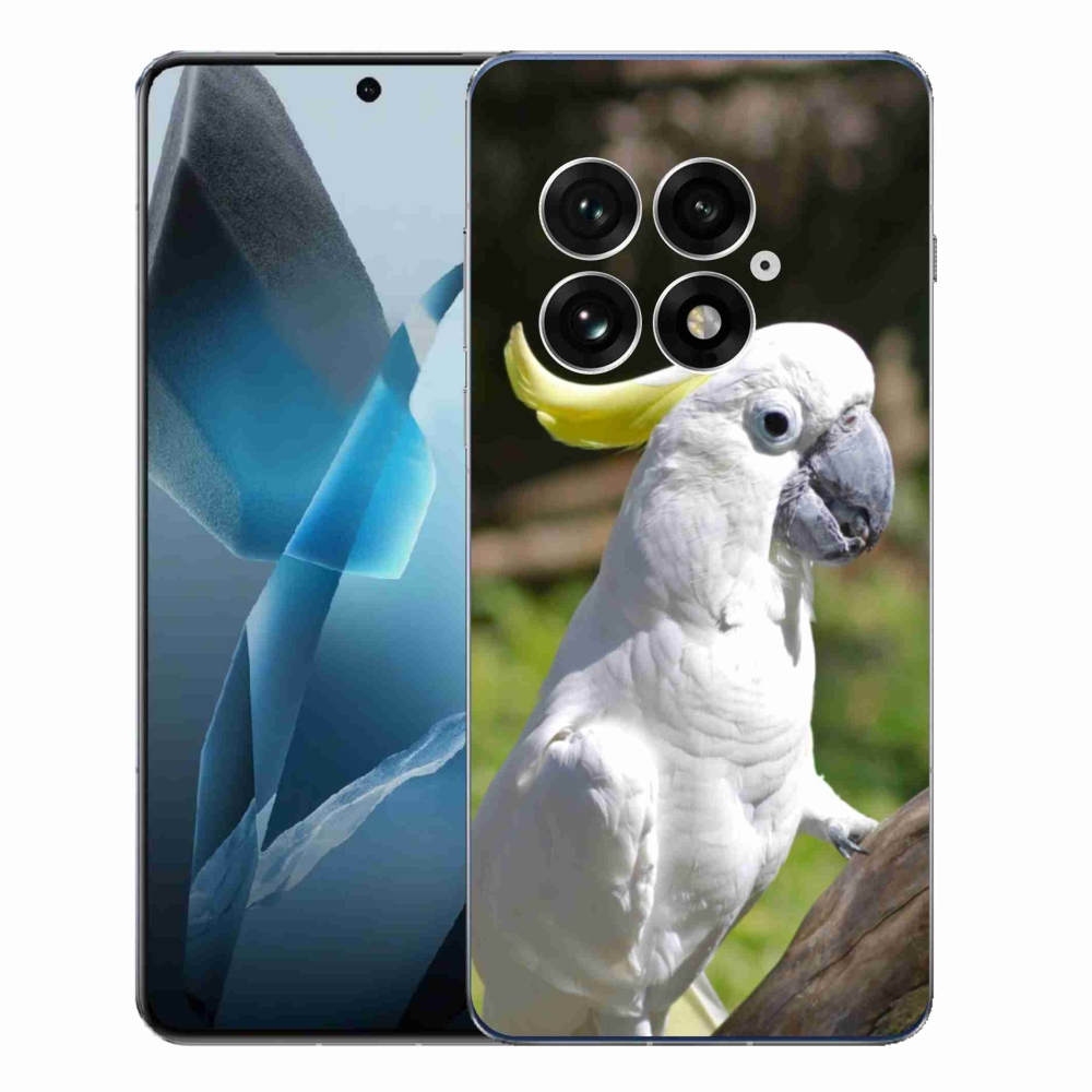 Zselés borítás mmCase a One Plus 13-hoz - papagáj kakadu 2