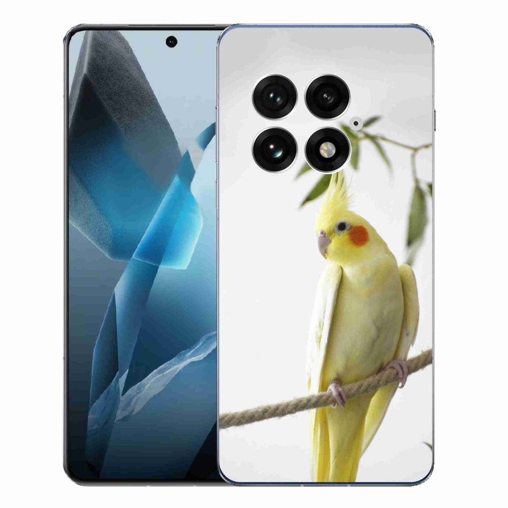 Zselés borítás mmCase for One Plus 13 - Papagáj Corella chocholata