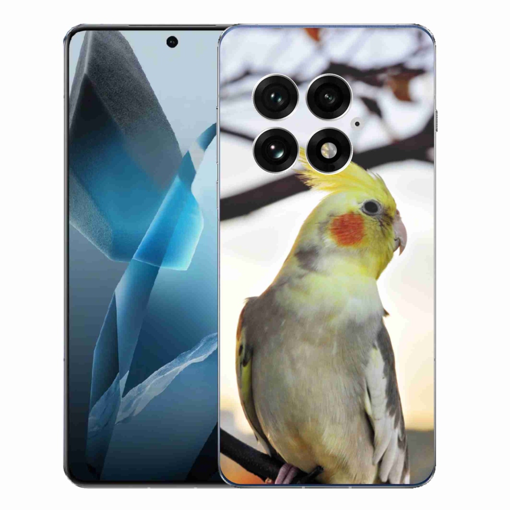 Zselés borítás mmCase a One Plus 13-hoz - papagáj korela