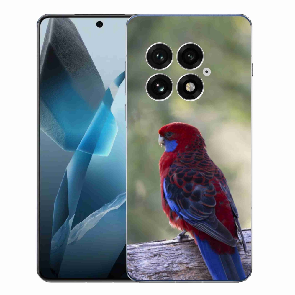 Zselés borítás mmCase a One Plus 13-hoz - papagáj rosela