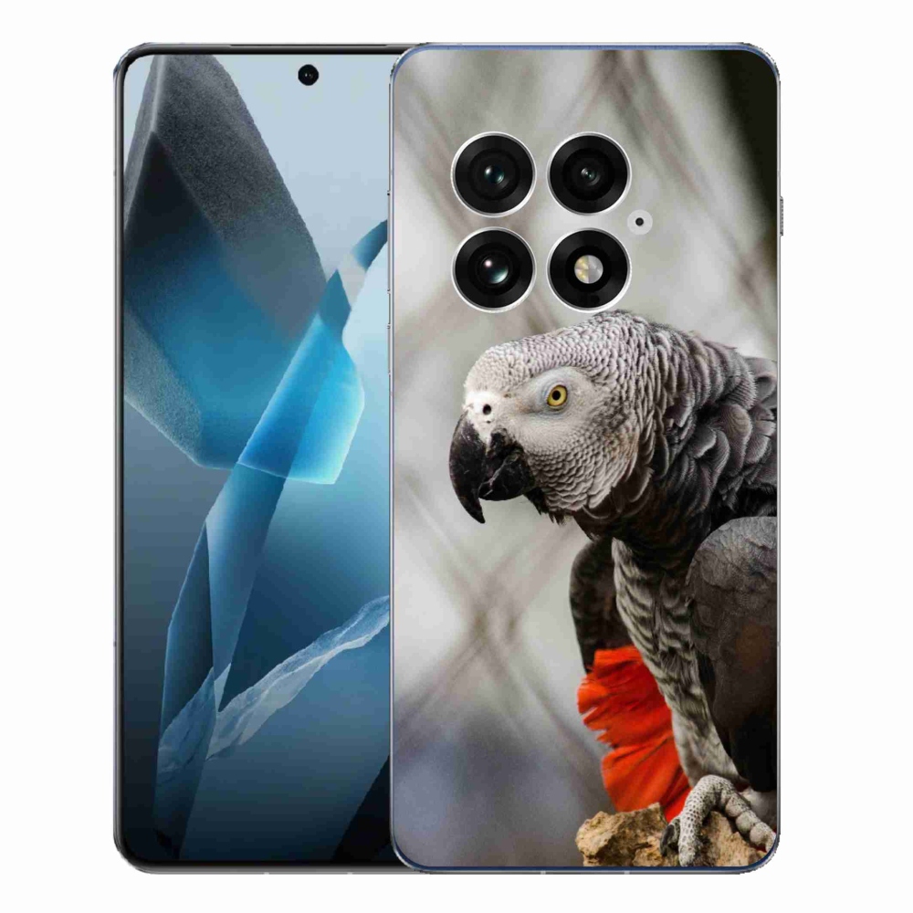 Zselés borítás mmCase a One Plus 13-hoz - papagáj jacco 3