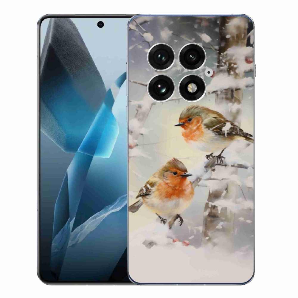 Zselés borítás mmCase a One Plus 13-hoz - madarak télen