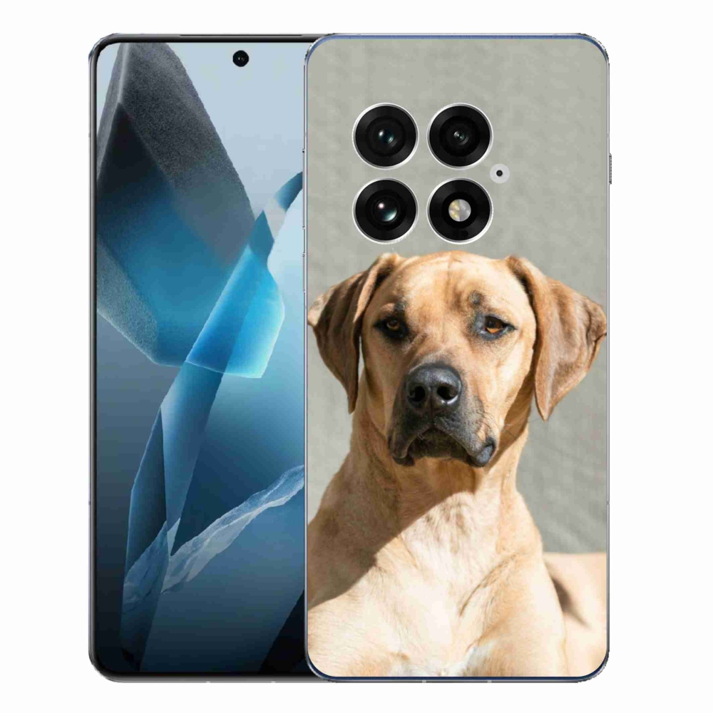 Zselés borítás mmCase a One Plus 13-hoz - ridgeback