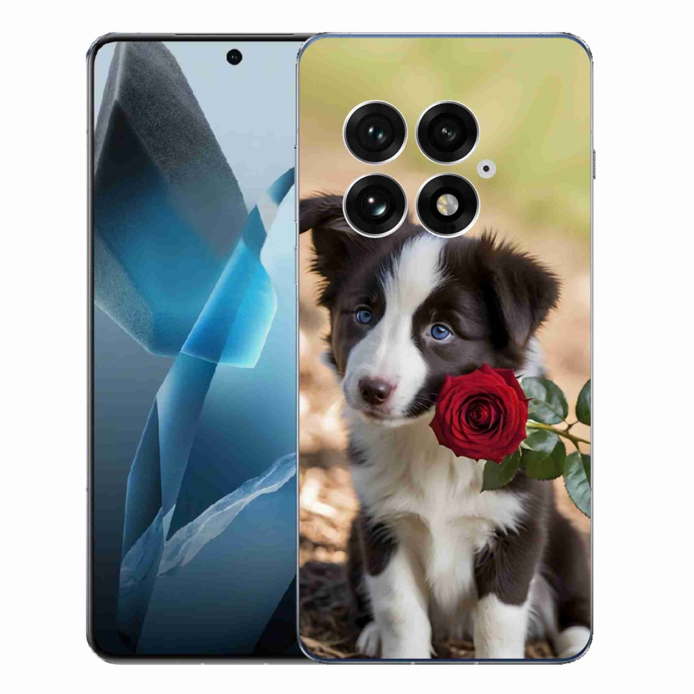Zselés borító mmCase a One Plus 13-hoz - aranyos border collie rózsával