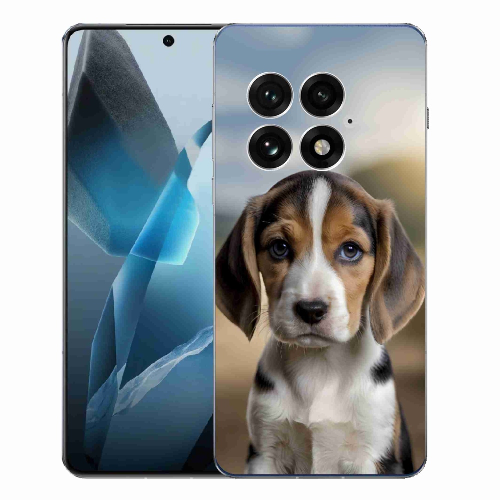 Zselés borítás mmCase a One Plus 13-hoz - aranyos beagle