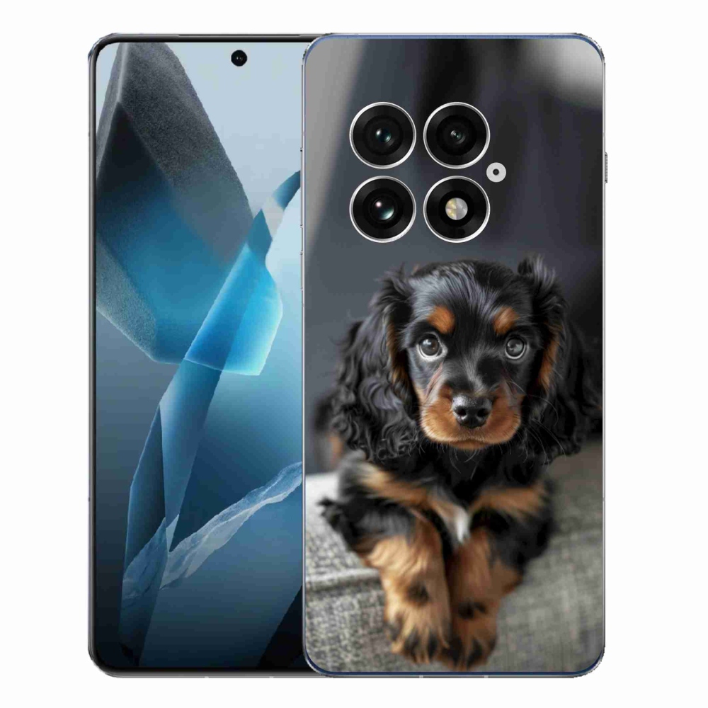 Zselés borítás mmCase for One Plus 13 - aranyos hosszú szőrű tacskó