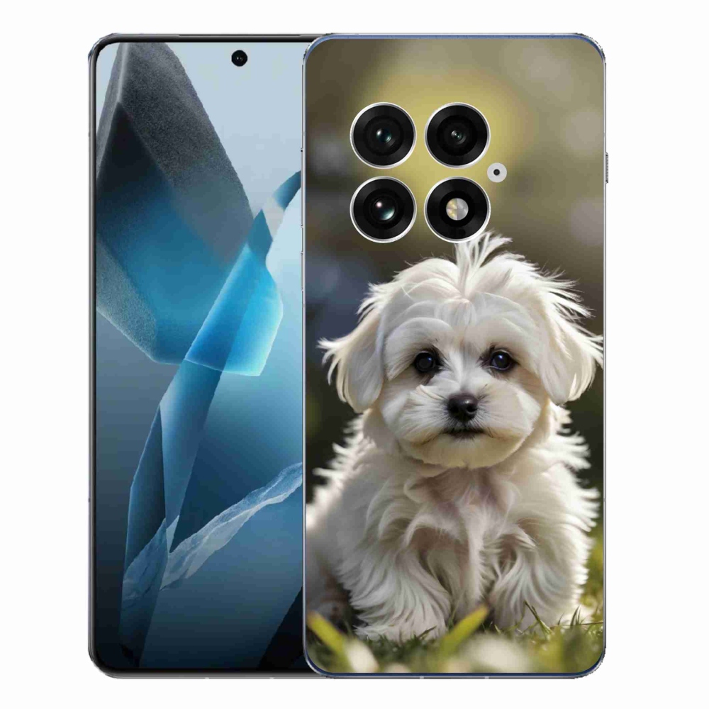 Gél borító mmCase a One Plus 13-hoz - aranyos máltai kutya