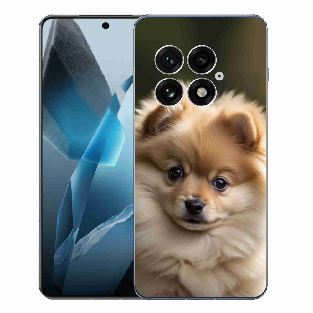 Zselés borítás mmCase a One Plus 13-hoz - aranyos pomerániai 2