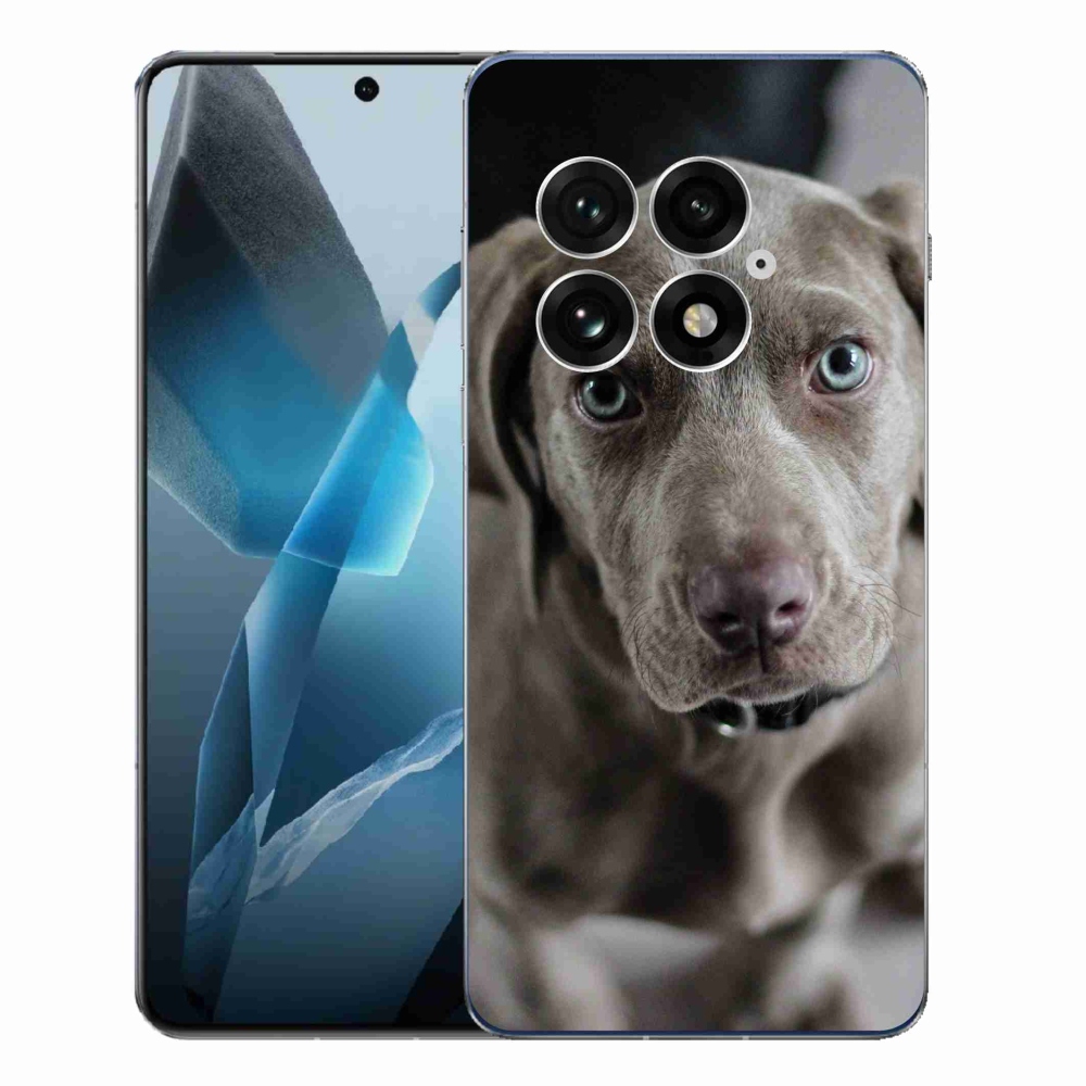 Zselés borítás mmCase a One Plus 13-hoz - Weimaraner
