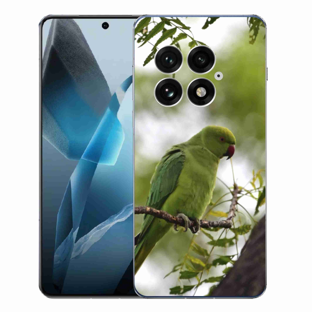Zselés tok mmCase One Plus 13-hoz - zöld papagáj