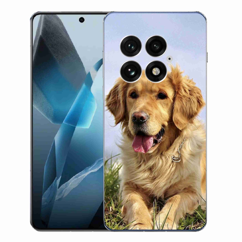 Zselés borítás mmCase a One Plus 13-hoz - arany retriever