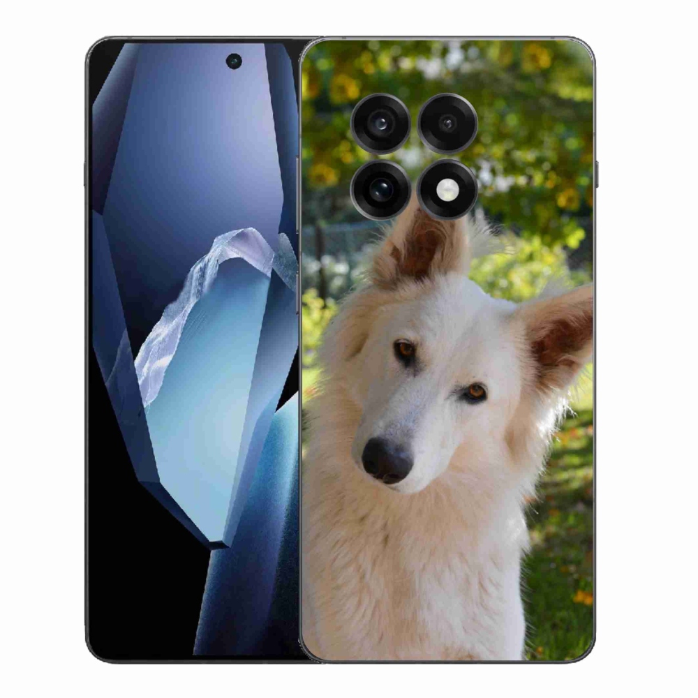 Gél borítás mmCase a One Plus 13R készülékhez - Fehér svájci juhász 1