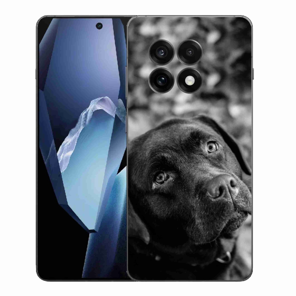 Zselés borítás mmCase a One Plus 13R készülékhez - labrador