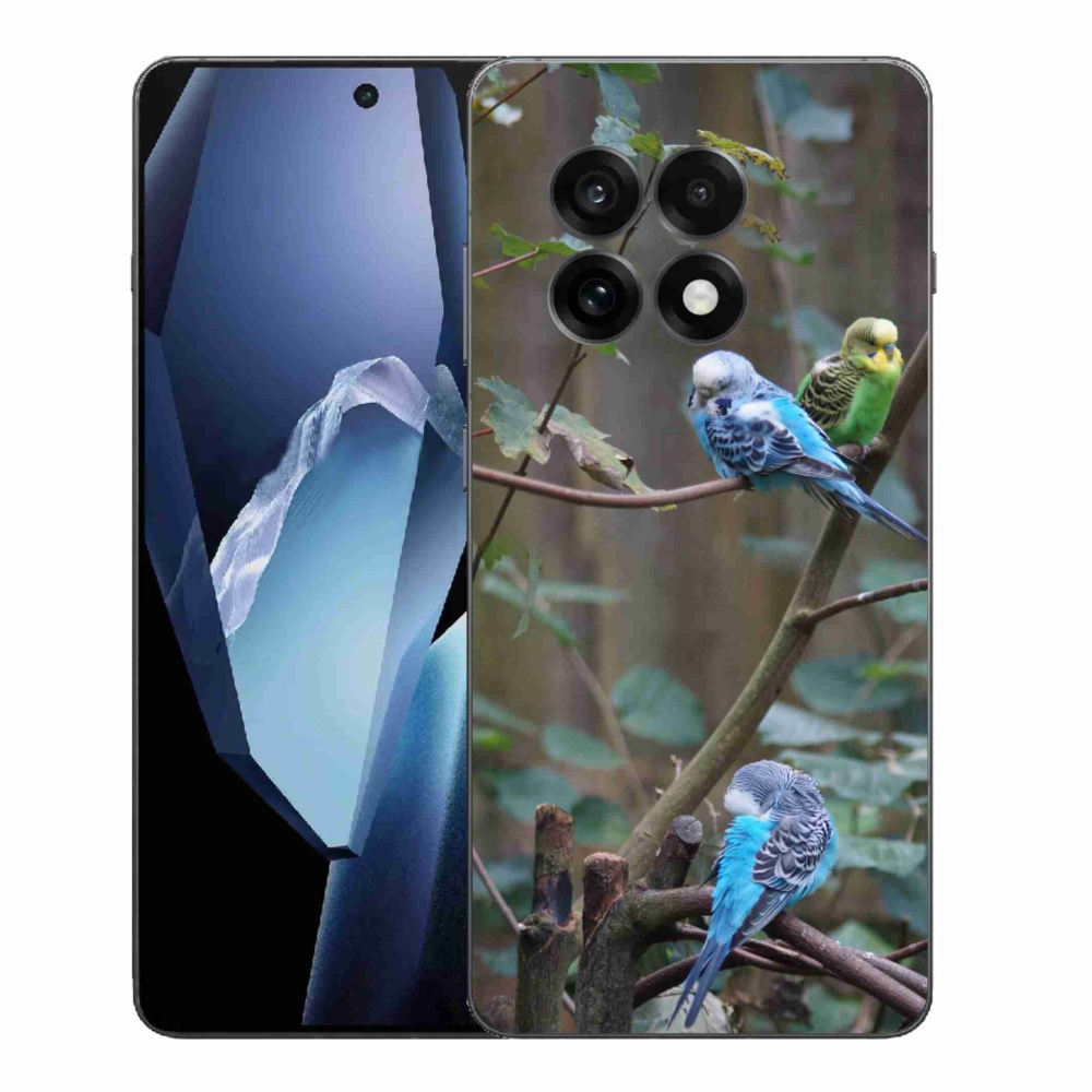 Zselés borítás mmCase for One Plus 13R - papagájok az ágon
