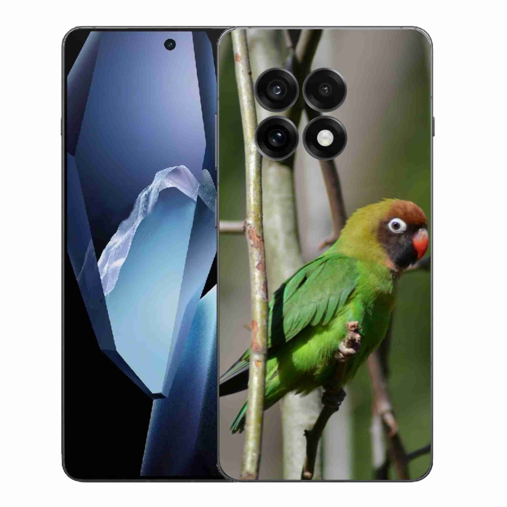 Zselés borítás mmCase a One Plus 13R készülékhez - papagáj agapornis