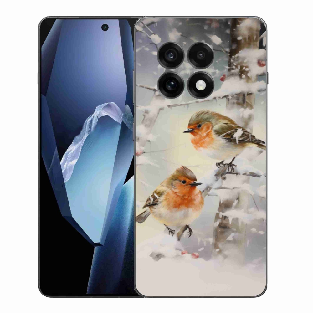 Zselés borítás mmCase a One Plus 13R-hez - madarak télen