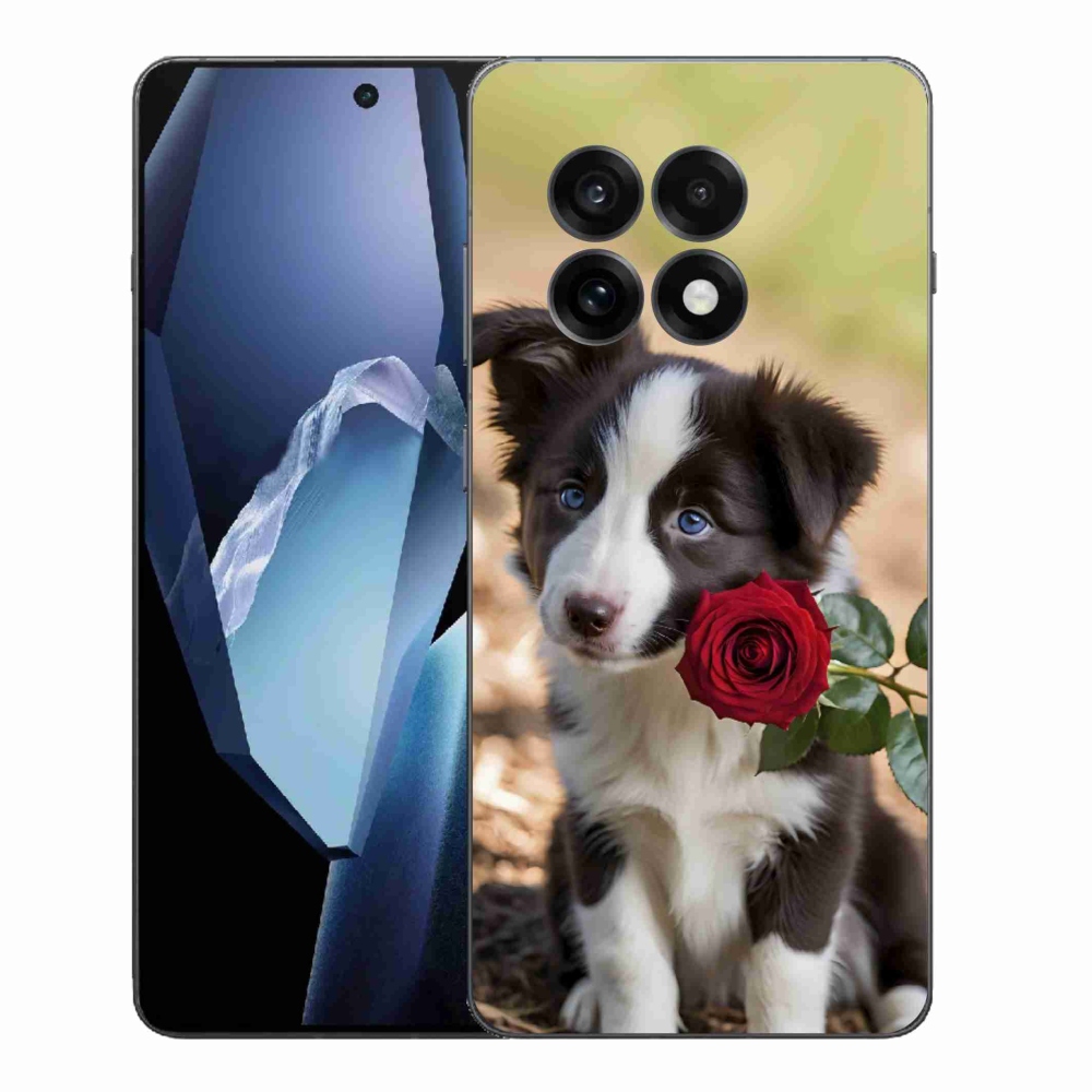 Zselés borítás mmCase a One Plus 13R készülékhez - aranyos border collie rózsával