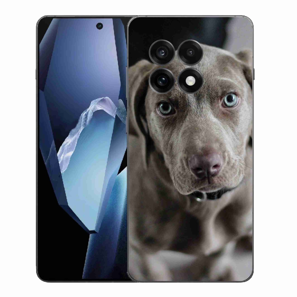 Zselés borítás mmCase a One Plus 13R készülékhez - Weimaraner