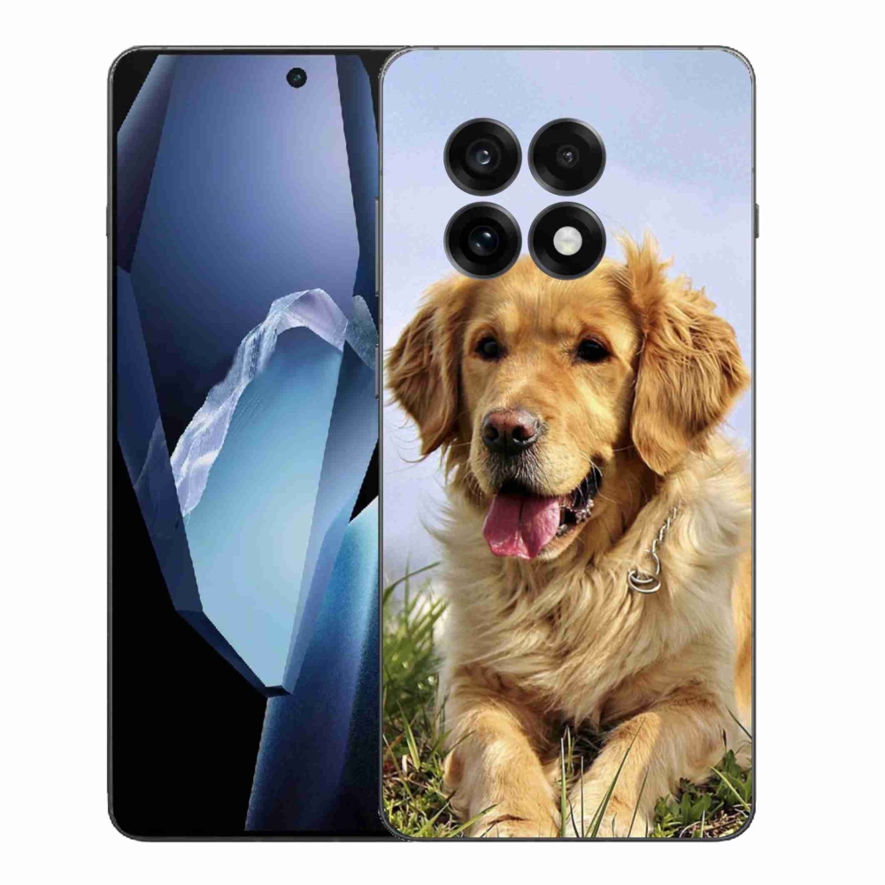 Gél borítás mmCase for One Plus 13R - arany retriever