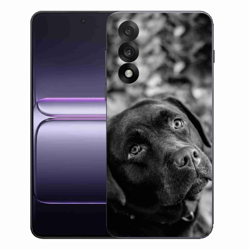 Gél védőhuzat mmCase a One Plus Nord 5 készülékhez - labrador